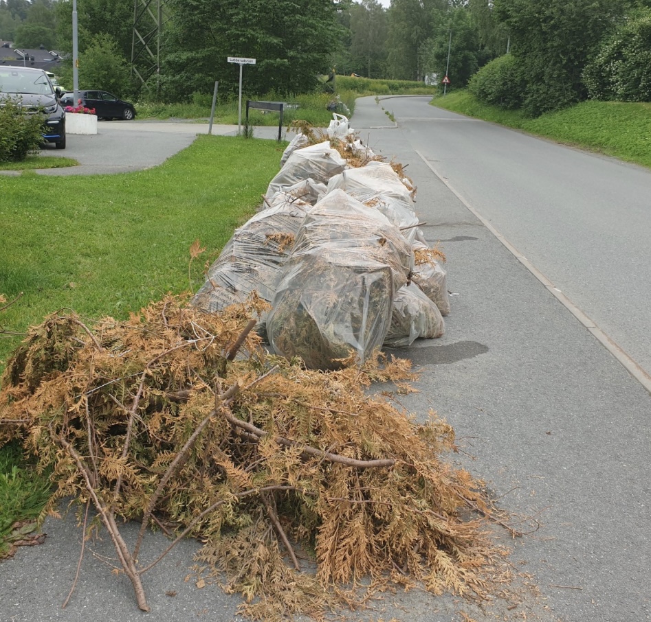 Artikkelbilde til artikkelen Hageavfallinnsamling 2025