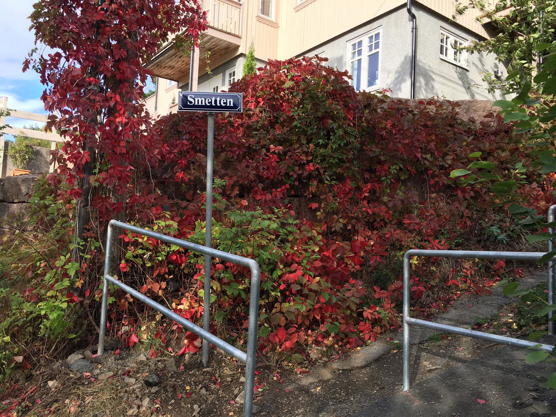 Stiene på Jar får navn!