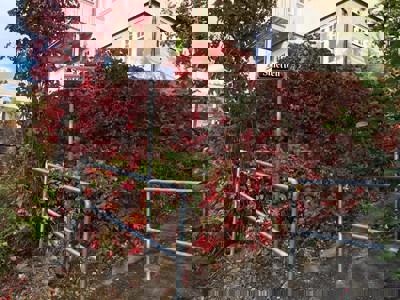 Flere stier har fått navn i 2017