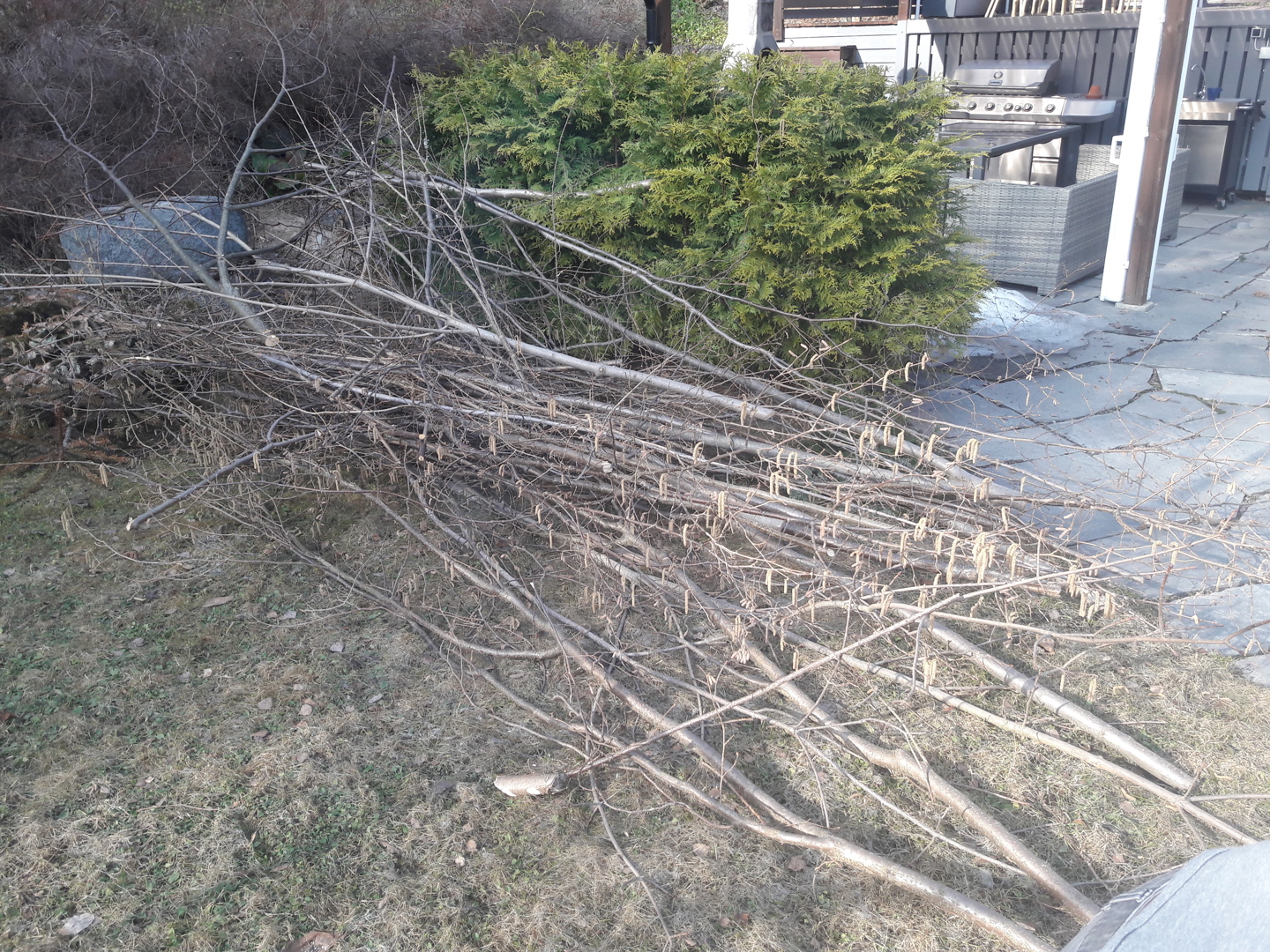 Hageavfallsinnsamling 2022